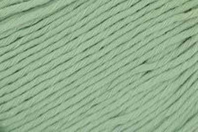 Cottonwood 8ply 50gms 41119 Pale Green