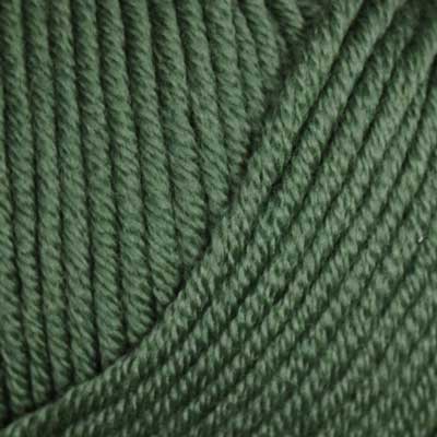 Bellissimo 8 8ply 50gms 258 Grass