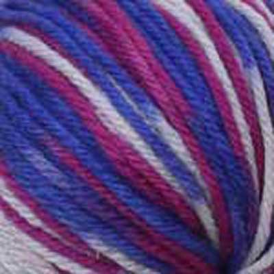 Eden Colors 14ply 100gms 44042 Royal Purple Multi