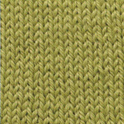 Renew Max >14ply 100gms 8502 Foliage Green